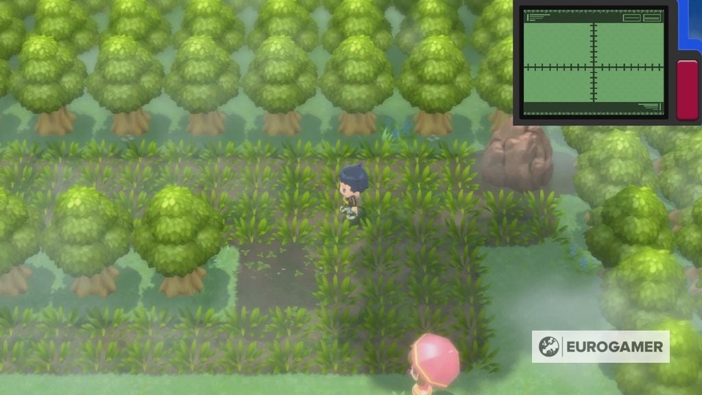 Pokémon Brilliant Diamond and Shining Pearl Great Marsh daily spawns